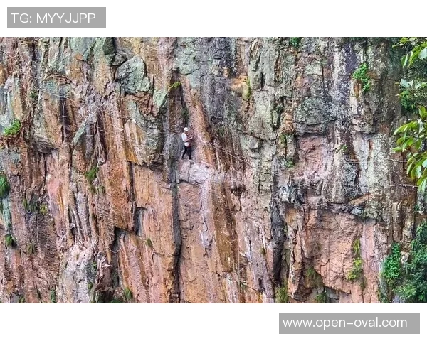 重庆极限运动队荣登极限运动速度排行榜第八位引发关注与热议